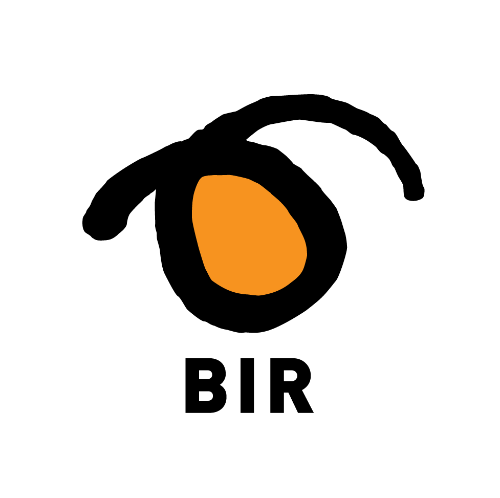Logo - BIR